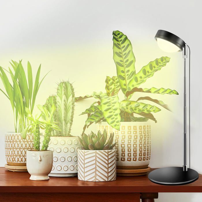 Lampe De Plante Spectre Complet Avec Lentille Optique Lampe De Culture De Bureau Avec Support Réglable En Hauteur Minuterie 6/12/1