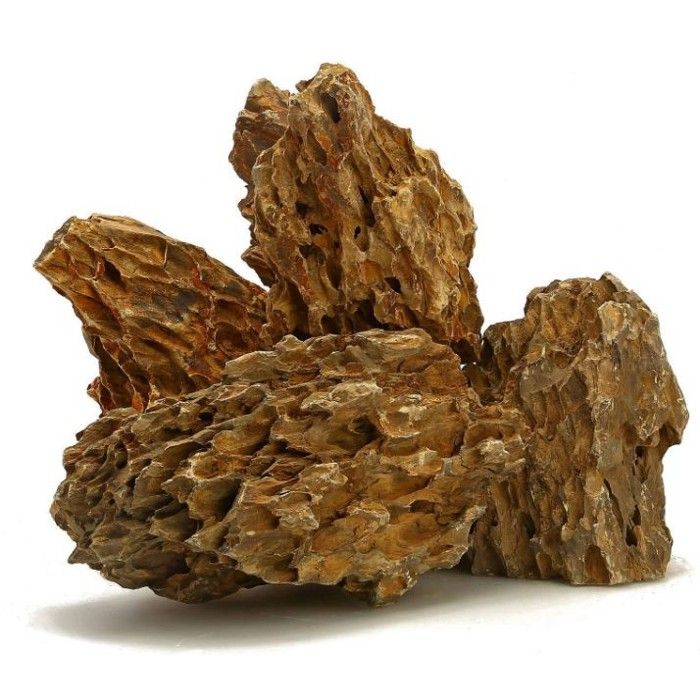 Pierre de dragon pour aquarium terrarium naturel 1 kg