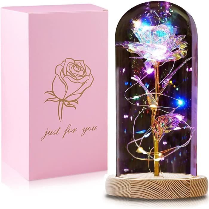 Cadeau Femme Rose Eternelle sous Cloche, La Belle Et La Bete Rose, Fleur Rose  Éternelle avec Lumières LED, Idée Cadeau pour Fe[904] - Cdiscount Maison