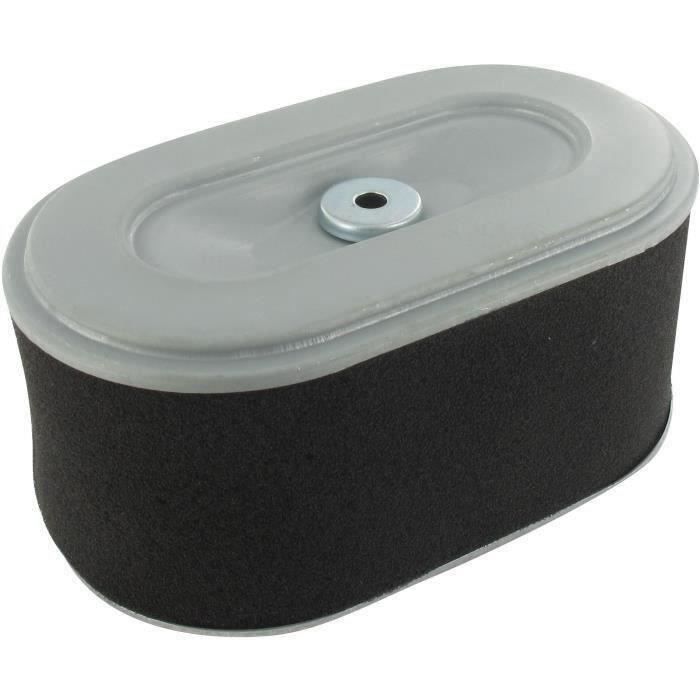 Filtre à air ROBIN 279-32606-08 - 279-32607-07 - 279-32607-17