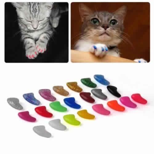 Protege Griffe Pour Chat Cdiscount Animalerie Protege Griffe Pour Chat Cdiscount Animalerie