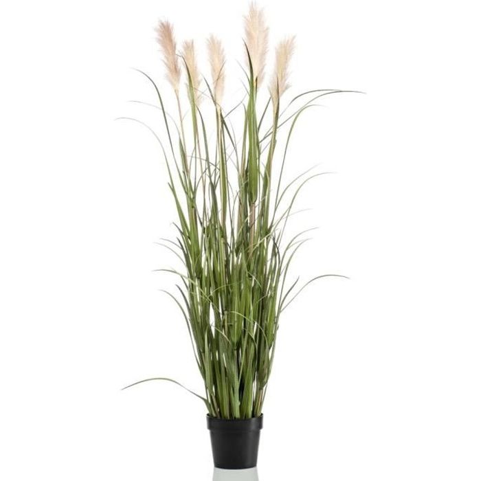 Plantes De Roseau pour La D/écoration De La Maison Remplissage De Vase Boho Herbe de Pampa Artificielle Grand 43 Pouces 110cm (Noir) 3 Tiges D/écor dherbe De Pampa Haut Plumes De Roseau Faux