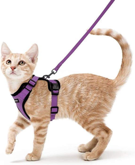 Meilleurs prix pour Rabbitgoo Harnais Chat/Harnais pour Chat/Laisse Harnais Chat Violet XS Collier Harnai Chat Réglable Respirant Respirant avec Laisse