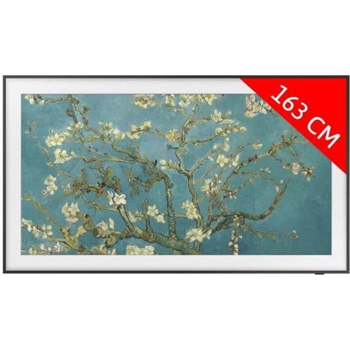 Samsung TQ65LS03BGU The Frame - vue 2