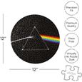 NMR DISTRIBUTION Rose Pink Floyd Dark Side Of The Moon 450 Piece Picture Disc Jigsaw Puzzle-2