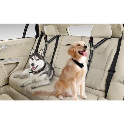 MOLHEM Lot De 2 Ceintures Sécurité Chien Voiture - Harnais Élastique Réglable, Laisse Rembourrée Anti-Choc - Violet