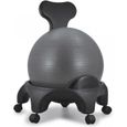 Tonic Chair Originale Anthracite Chaise avec Ballon Equilibre Exercice Fitness Dos Abdominaux-0
