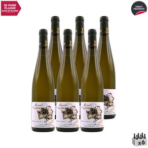 VIN BLANC Alsace Terre Natale Gewurztraminer Vieilles Vignes