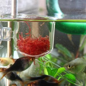AQUARIUM Mangeoire pour aquarium Transparent Aquarium Red Worm Feeder Ventouse Cup Fish Feeding Cup Container Accessory(Verre Crack Cup )
