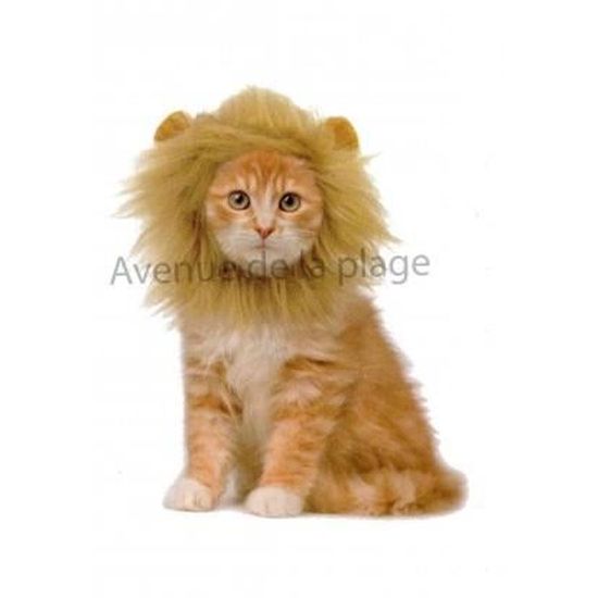 Criniere De Lion Pour Chat Multicolore Cdiscount