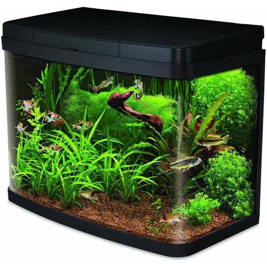 Aquarium à Bords Noir MonsterShop avec Kits Gravier BlancPlantes et Accessoires de DémarrageMeuble Noirde 300 litresDimension 42