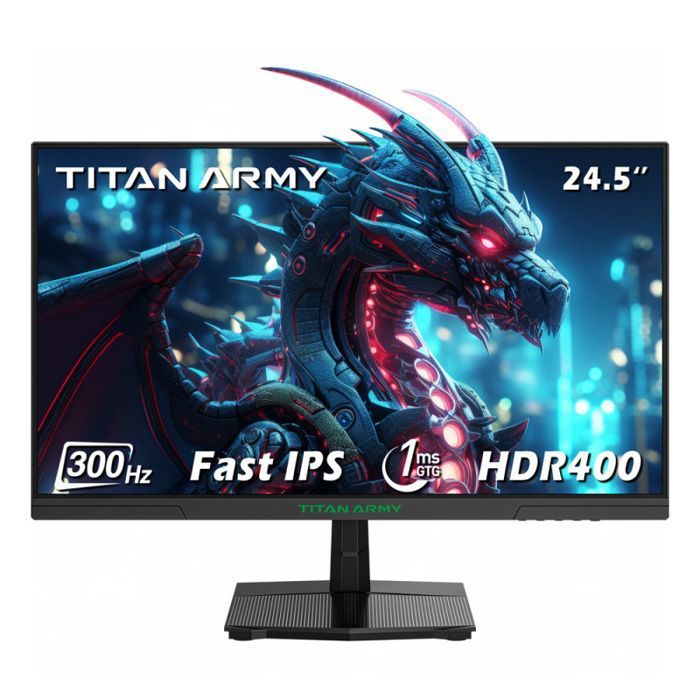 TITAN ARMY P2510HS Écran deJeu – Plat – Fast IPS 300 Hz 245 Pouces 1920×1080 – 2 x HDMI 2.0 2 x DP 1.4 1 x Audio
