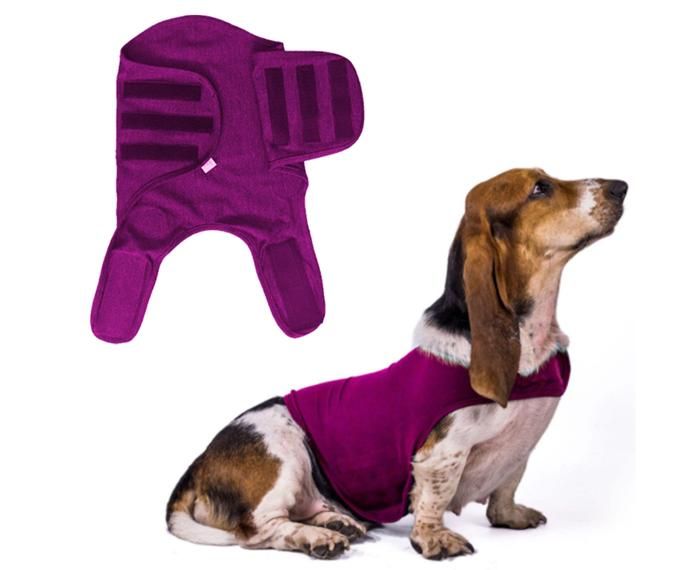Comparer les prix de Veste anti-anxiété pour chien chemise respirante pour chien gilet anti-anxiété pour chien gilet anti-anxiété pour chiot (rose
