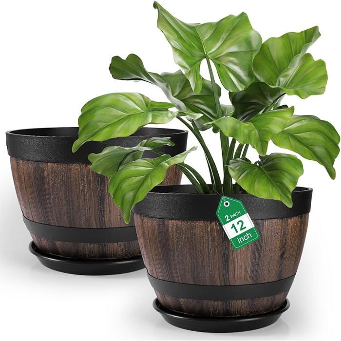Siba Lot De 2 Grands Nœuds Rouges De Couleur Unie De 20,3 Cm Avec