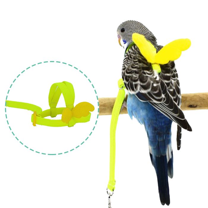 Harnais Ailes Réglable Oiseau Laisse Vol pour Perroquet Pigeon Entraînement Extérieur Mignon Label