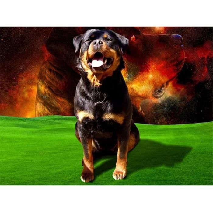 5D Diy Diamond Painting Kit Chien Rottweiler Broderie Diamant Complet ...