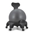 Tonic Chair Originale Anthracite Chaise avec Ballon Equilibre Exercice Fitness Dos Abdominaux-1