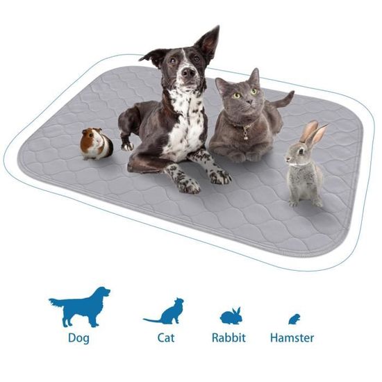 Alèses Pour Chien Réutilisables & Lavables – Tapis D'Apprentissage Anti-Dérapant Pour Chiots, Chats Et Petits Animaux