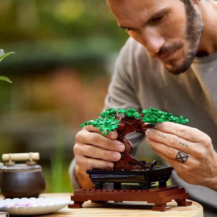 Lego 10289 creator expert l'oiseau de paradis jeu de construction pour  adultes plantes artificielles fleurs déco idée cadeau - La Poste