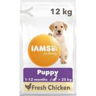 Croquettes au poulet - IAMS - Grande race - Pour chiot