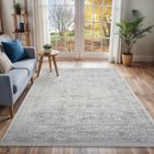 LIVABLISS Tapis de Salon à Poils Courts Doux Vintage Oriental VICKY 200x275cm Ivoire/Gris