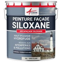Peinture Facade Siloxane Hydrofuge - ARCAFACADE SILOXANE  Gris Clair (Ral 9002) - 10L (+ ou - 60m² en 1 couche)