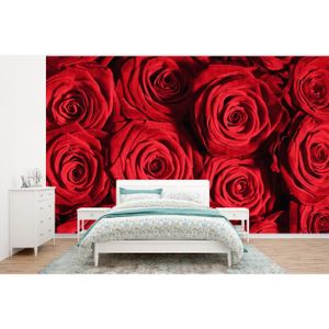 Roses Rouges Noir et Blanc Papier peint papier peint polaire facile installer papier 