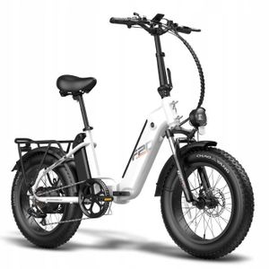 VÉLO ASSISTANCE ÉLEC Fafrees FF20 Polar vélo électrique 40KM-H 10.4AH*2 1000W roue 20