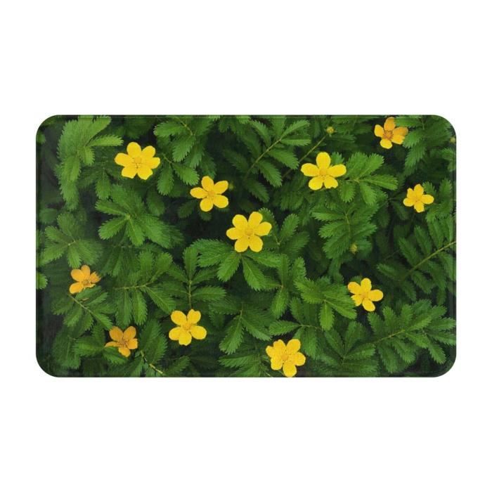 Tapis De Cuisine Feuilles Vertes Fraîches 100X90Cm Tapis De Sol Tapis
