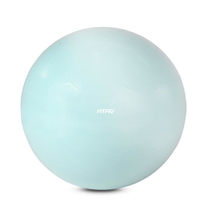 Gym ball FITBALL-PAT BLEU, 65cm de diamètre, antidérapant, PVC anti-perforation, équilibre - FITFIU Fitness