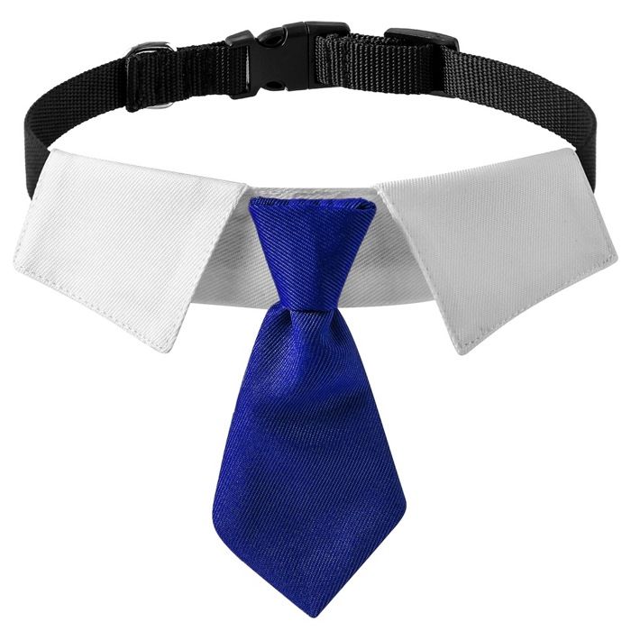Costume de mariage pour chien - Phoesky - Polyester - Décoration de col de cravate - Luxe britannique - Moderne