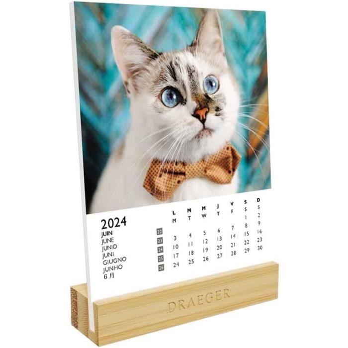 Agenda De Poche 2024 - Draeger Paris - Chats - Format : 11,5 x 16 cm