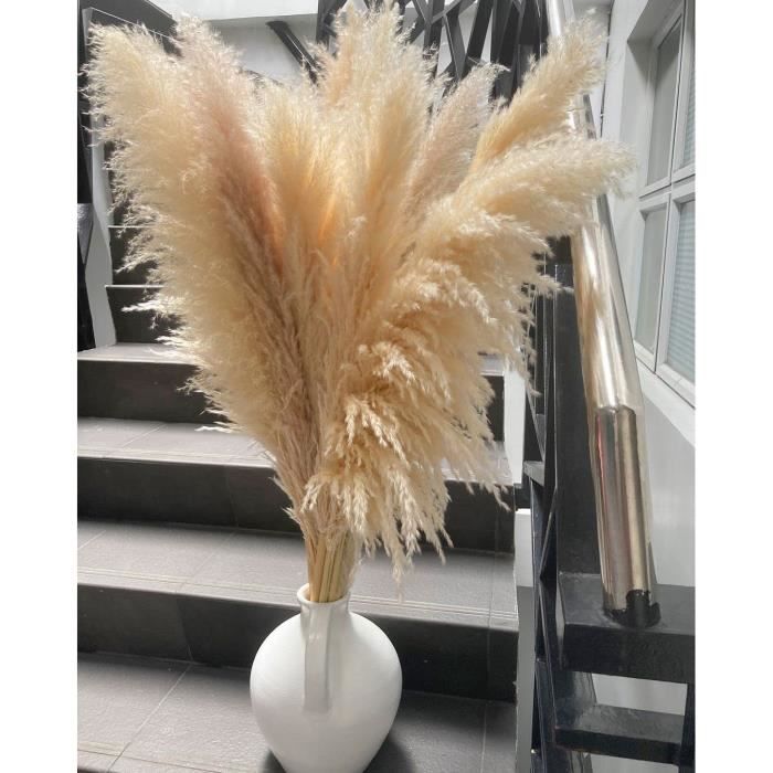 Pampas Sechees Décoration, 100% Naturelle Herbe De La Pampa, Bouquet De