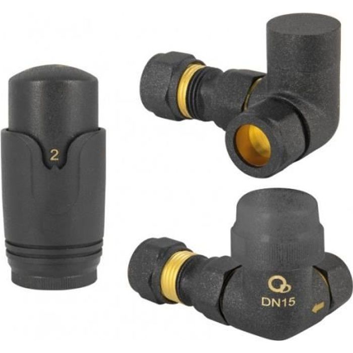 Kit Radiateur Kit de radiateur thermostatique, raccordement 1/2' Anthracite ...