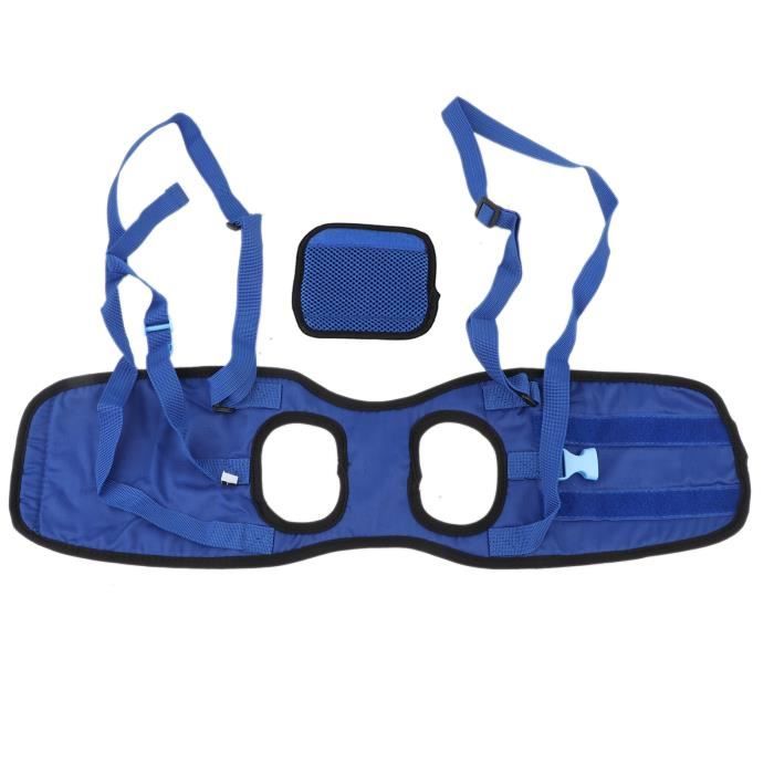 Comparer les prix de Dilwe Harnais de levage pour chien Harnais de soutien de levage de levage de marche pour chien pour animal de compagnie handicapé