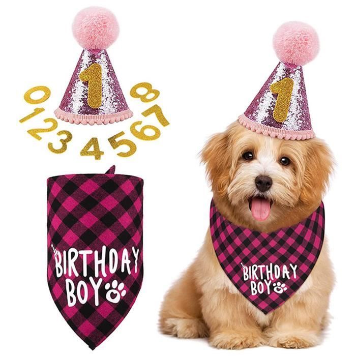 Comparer les prix de Triangle Écharpes Chapeau pour Anniversaire chien Cadeaux pour Chienne ou Chiot Décor Anniversaire Décor rose pour chien fille