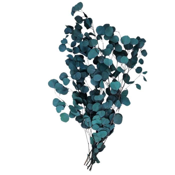 Fleurs séchées d'eucalyptus Feuilles artificielles Bouquet séché de fleurs ( bleu) FLEUR-PLANTE ARTIFICIELLE - FLEUR SECHEE - Cdiscount Maison