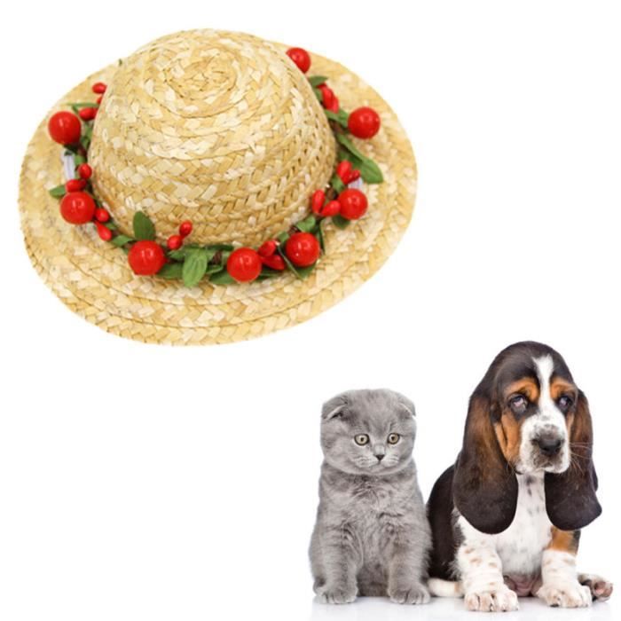1pc Chien De Compagnie Chapeau De Soleil Chapeaux Daisy Accessoires De De Chiot Style Hawaii Cerise Bougie Anniversaire Cdiscount Maison