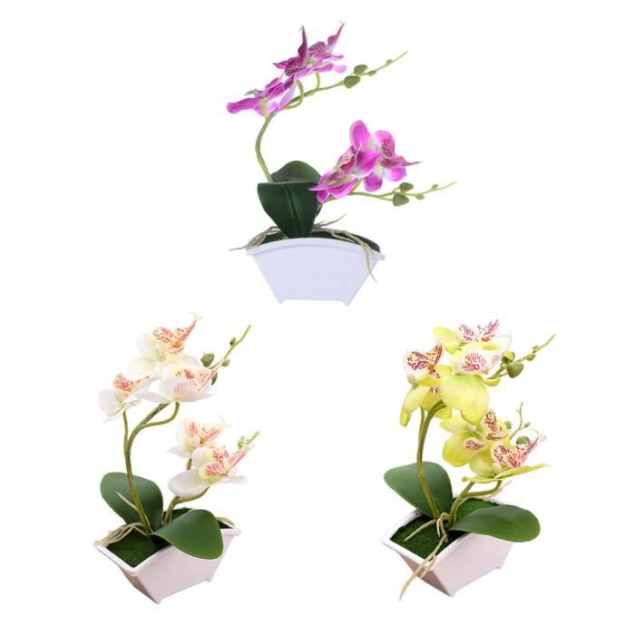 Apricot Lamb Phalaenopsis - Orquídea de peluche (28 cm