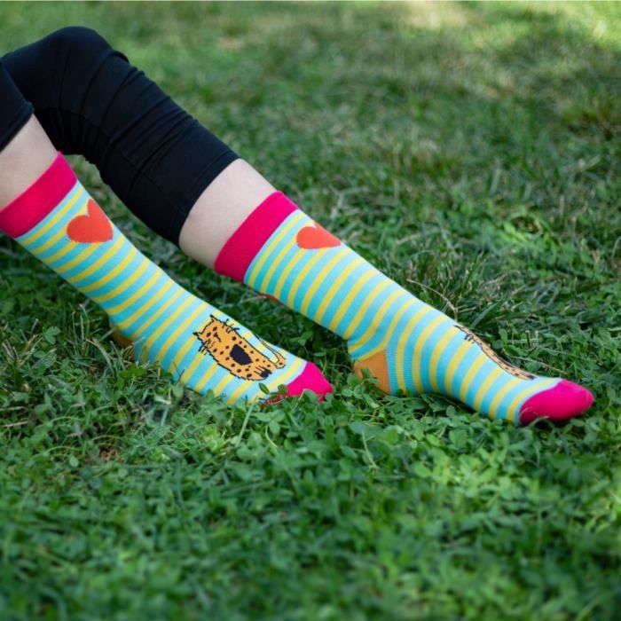 Biggdesign Lot de 3 Chaussettes Femme Rigolotes Color es Motifs