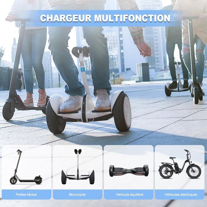 Chargeur Rapide Pour Trottinette électrique 42V 2A – 4 Connecteurs, Universel Pour M365, Hoverboard, Monocycle