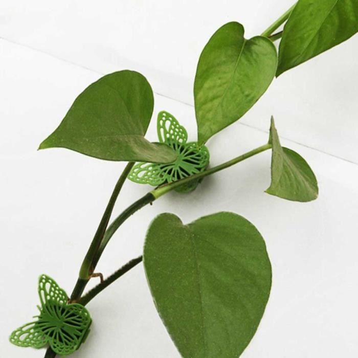 Tuteur Plante 18 Pièce Tuteur Plante Interieur 27cm Tuteurs pour Tuteur Plante 18 Pièce Tuteur Plante Interieur 27cm Tuteurs pour