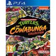 Teenage Mutant Ninja Turtles The Cowabunga Collection Jeu PS4-0
