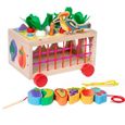 Jeu De Tri En Bois Formes De Feuilles – Jouet éducatif Pour Enfants 3-6 Ans, 27 Pièces, Motricité Fine