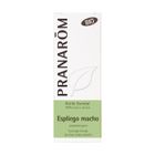 Pranarom Huile Essentielle Bio Lavande Aspic 10ml