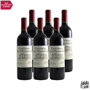 VIN ROUGE Château Haut-Marbuzet Rouge 2018 - Lot de 6x75cl - Vin Rouge de Bordeaux - Appellation AOC Saint-Estèphe - Cépages Cabernet
