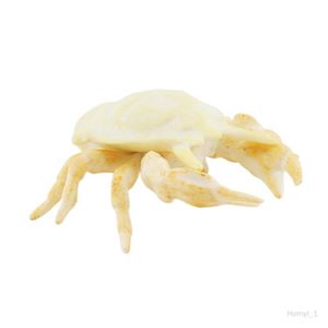 FIGURINE - PERSONNAGE Jouet modèle de simulation - COLAXI - Crabes - Fig