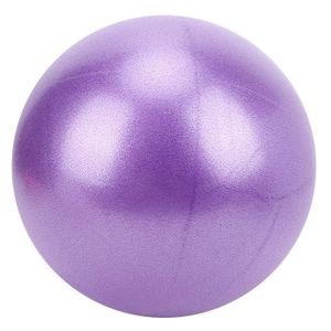 BALLON SUISSE-GYM BALL Balle d'exercice de yoga GOTOTOP - Robuste 25cm - 