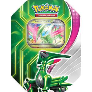 CARTE A COLLECTIONNER Pokémon : Pokebox printemps 2024 - Vert-de-fer ex