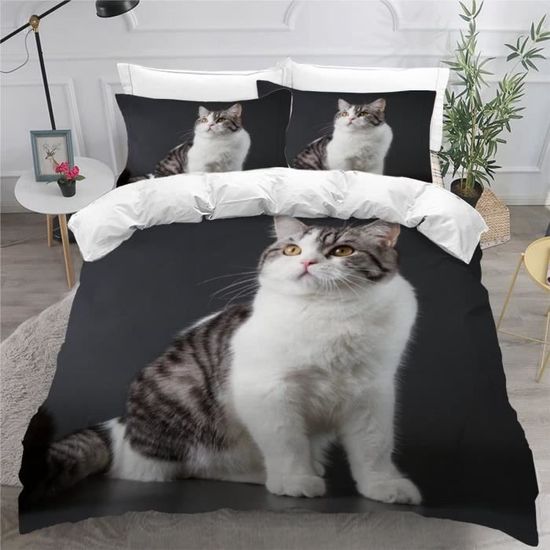 Housse De Couette 3D Steam Train Microfibre - Motif Locomotive à Vapeur, Tailles Single/Double/King | Pour Adulte, Enfant, Chambre Thématique